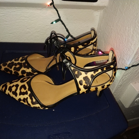 franco sarto darlis leopard